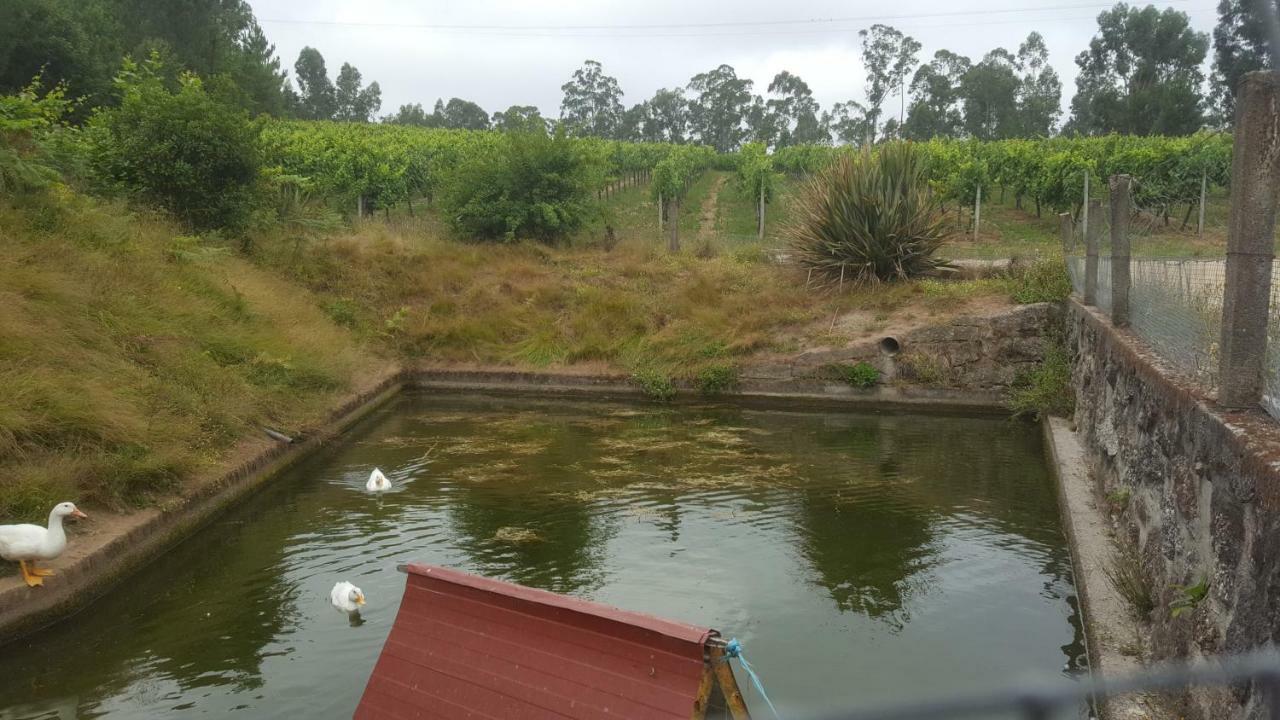 Quinta D'Areda Wine&Pool Experience Pensionat Fafe Eksteriør billede