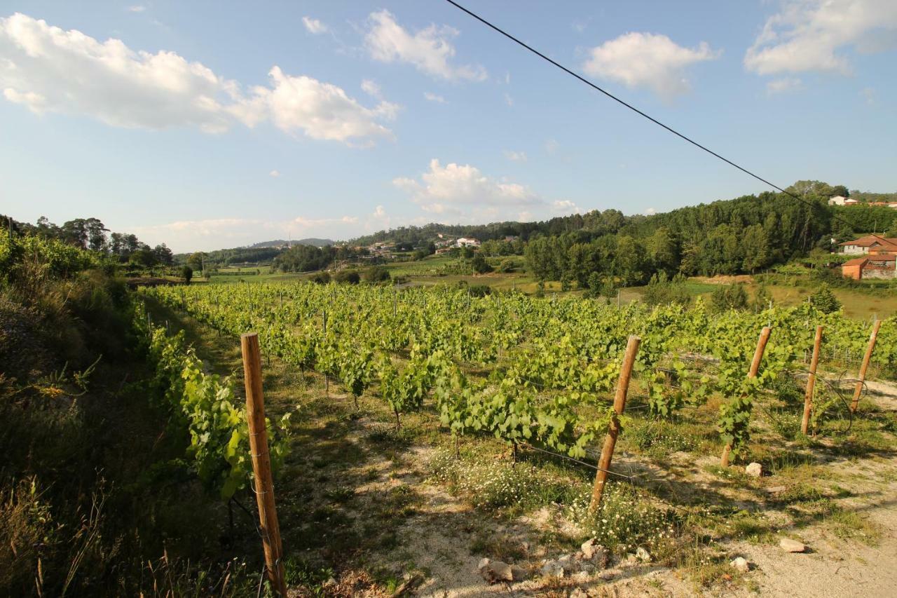 Quinta D'Areda Wine&Pool Experience Pensionat Fafe Eksteriør billede